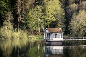 A house above the water with a grassy shore and trees in the background